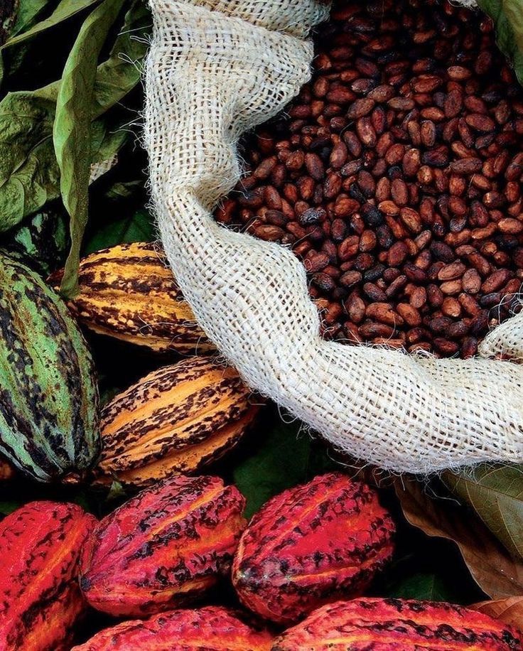 cocoa beans